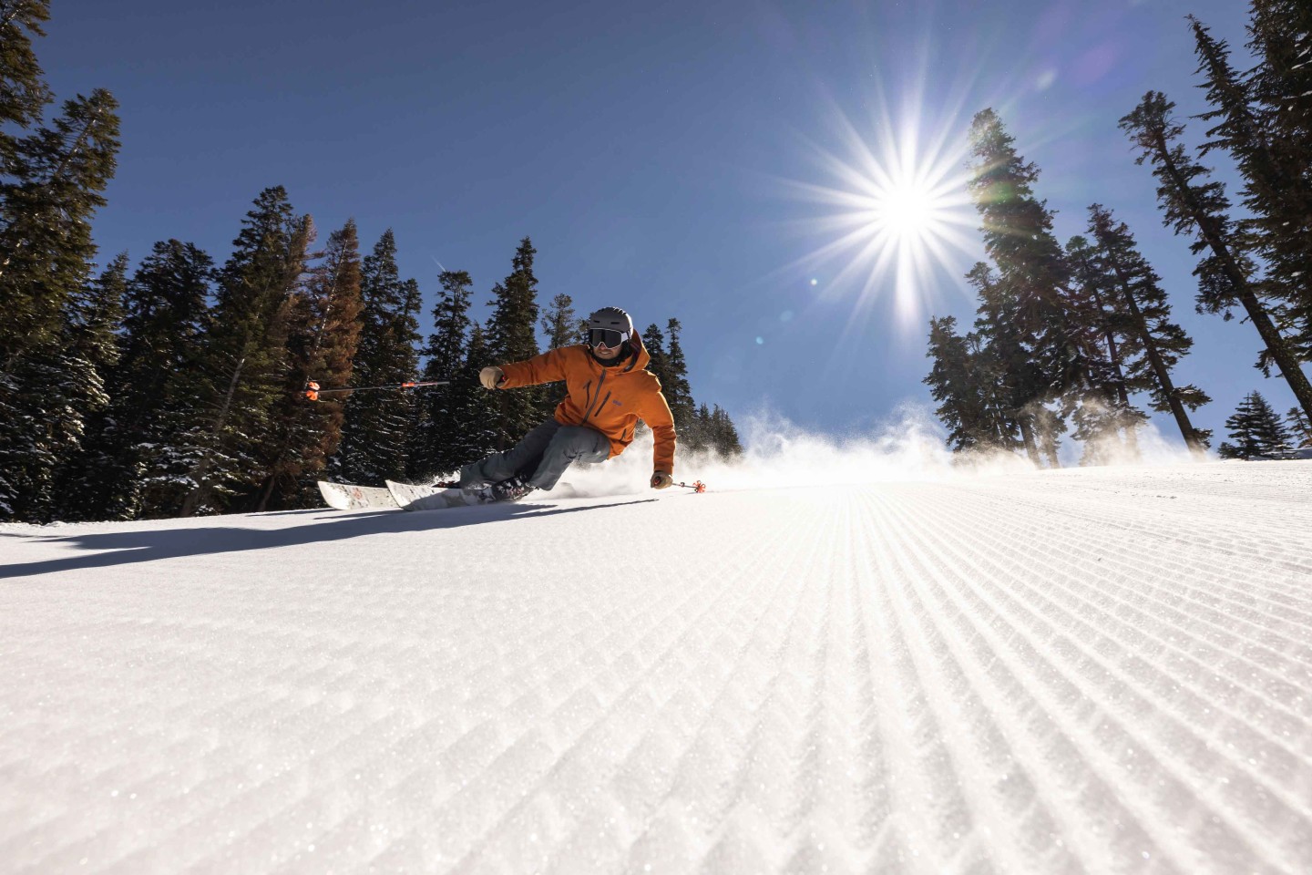 Skier carving groomer