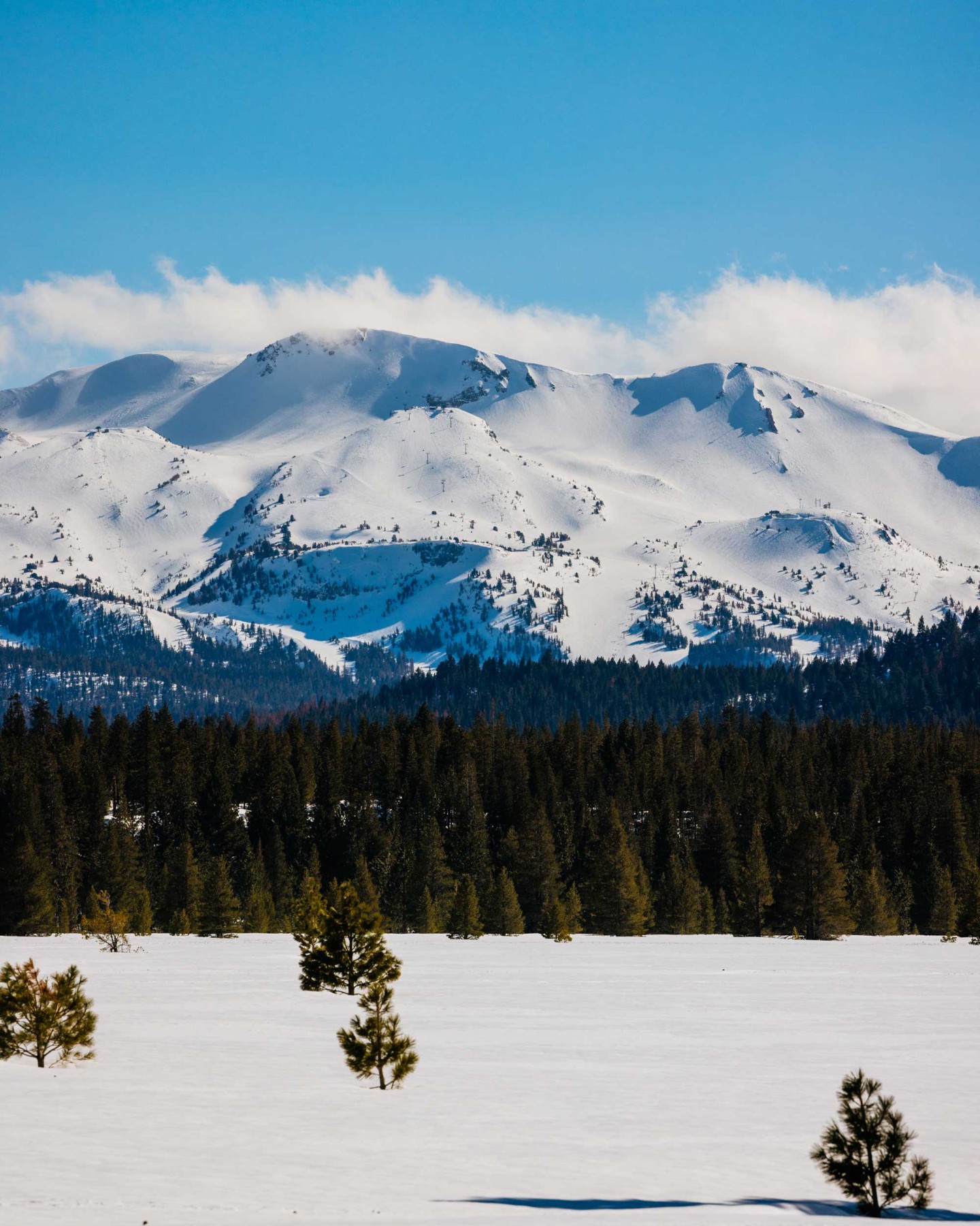 mammoth mountain