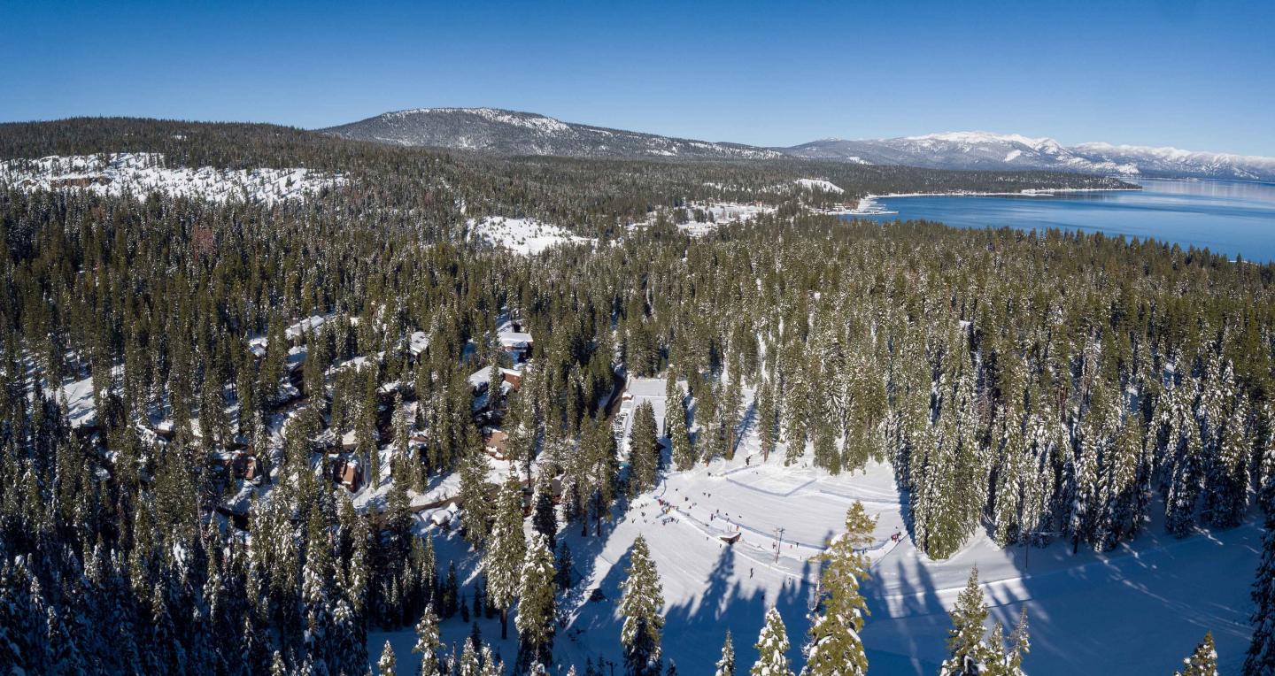 Drone over trees