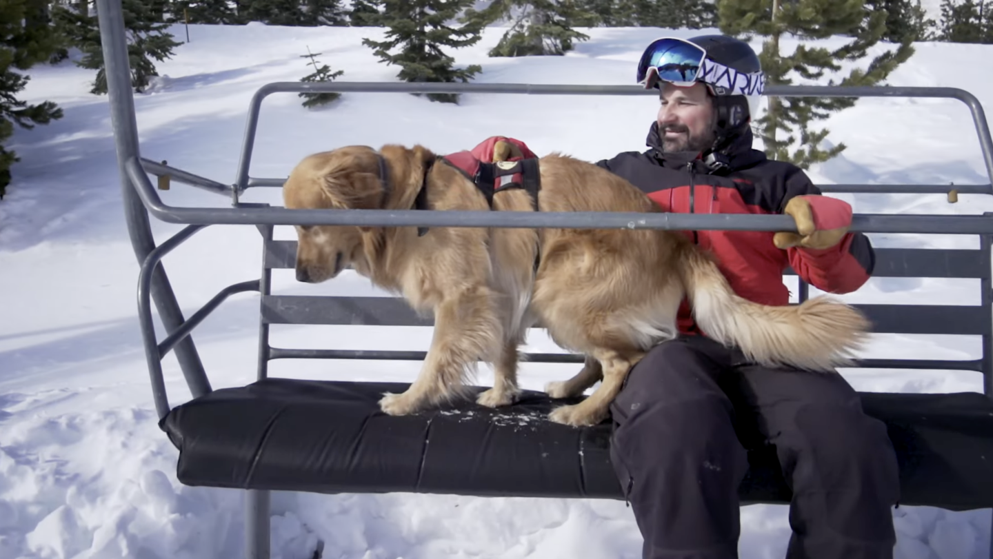 patroller and patrol dog